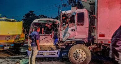 UNA COASTER DE LA RUTA 140 CHOCÓ CONTRA CAMIÓN EN BULEVAR DEL EJÉRCITO.