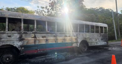 UN BUS DE LA RUTA 133 SE PRENDIÓ EN LLAMAS CON PASAJEROS A BORDO EN LA AUTOPISTA COMALAPA.