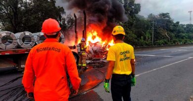 UN CABEZAL SE INCENDIÓ EN LA CARRETERA DE SONSOEN IZALCO,SAN SALVADOR A SONSONATE.