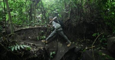 CANSADOS DEL TRÁFICO, SALVADOREÑOS OPTAN POR CAMINAR ENTRE VEREDAS Y MONTAÑAS PARA LLEGAR A CASA EN LOURDES, COLÓN.