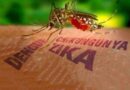 AUMENTAN LOS CASOS DE DENGUE EN EL SALVADOR: MÁS DE 1,100 SOSPECHOSOS Y 45 CONFIRMADOS EN 2025