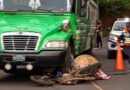 CONOZCA AL JOVEN PANADERO MURIÓ TRAS SER ATROPELLADO POR BUS DE LA RUTA 246 EN CARRETERA A SONSONATE