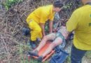 MOTOCICLISTA SUFRE QUEMADURAS TRAS INCENDIO DE SU VEHÍCULO EN CARRETERA A QUEZALTEPEQUE