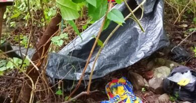 FUERZAS ESPECIALES DESMANTELAN CAMPAMENTO CLANDESTINO DE LA MS13 EN MORAZÁN SUR