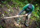 LOCALIZAN CADÁVER DE JOVEN DESAPARECIDO EN CEMENTERIO CLANDESTINO EN NUEVO CUSCATLÁN