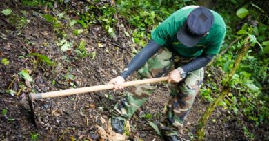 LOCALIZAN CADÁVER DE JOVEN DESAPARECIDO EN CEMENTERIO CLANDESTINO EN NUEVO CUSCATLÁN