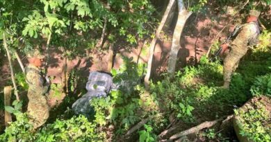 FUERZA ARMADA INCAUTA 179 LIBRAS DE MARIHUANA EN PASO FRONTERIZO NO HABILITADO EN METAPÁN
