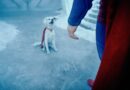 KRYPTO, EL PERRO DE LA NUEVA PELÍCULA SUPERMAN, IMPULSA ADOPCIONES CANINAS A NIVEL MUNDIAL