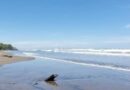 CORRIENTES MARINAS ARRASTRAN A SEIS PERSONAS EN PLAYAS SALVADOREÑAS; UNA MENOR FALLECE