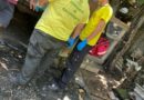 HOMBRE FUE MORDIDO POR UNA SERPIENTE CASCABEL EN LA TRONCAL DEL NORTE EN SAN SALVADOR
