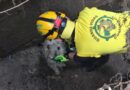 RESCATARON A PERRITO ATRAPADO EN CÁRCAVA EN SAN MARTÍN
