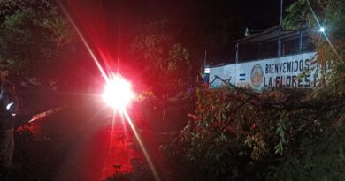 MUJER FALLECE Y DOS PERSONAS RESULTAN HERIDAS POR CAÍDA DE ÁRBOL DURANTE FUERTES LLUVIAS EN SANTA ANA