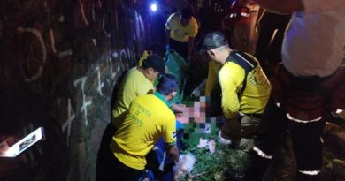 MUJER CON BEBÉ EN BRAZOS ATROPELLADOS POR VEHÍCULO EN TRONCAL DEL NORTE