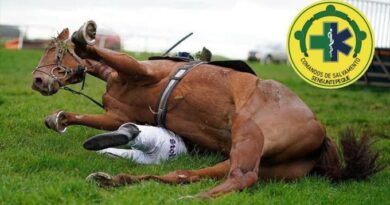 JINETE MURIÓ TRAS CAERLE ENCIMA UN CABALLO DURANTE DESFILE HÍPICO EN CABAÑAS