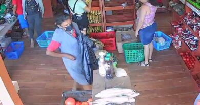 CAPTURARON A MUJER POR HURTO DE DINERO EN AGROMERCADO DE SAN MARTÍN