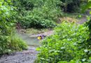 UN HOMBRE FUE ASESINADO EN LAS RIBERAS DEL RÍO EL PORVENIR, EN METALÍO, ACAJUTLA