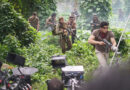 «LUCIÉRNAGAS EN EL MOZOTE» ESTRENA SU PRIMER TRÁILER OFICIAL