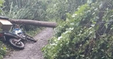 MOTOCICLISTA SOBREVIVE TRAS CAERLE ENCIMA UN ÁRBOL EN SENSUNTEPEQUE