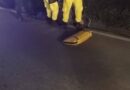 HOMBRE RESULTA LESIONADO EN ACCIDENTE DE TRÁNSITO EN EL PORTEZUELO, SANTA ANA
