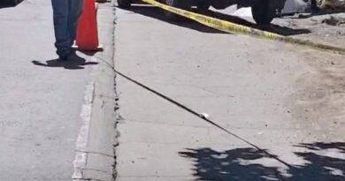 IDENTIFICARON A LA MUJER QUE MURIÓ ATROPELLADA EN CARRETERA EL LITORAL, USULUTÁN; ERA UNA VENDEDORA DE SEMILLAS