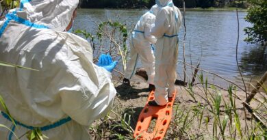 RECUPERARON EL CUERPO DE UN HOMBRE QUE FLOTABA EN EL RIO LEMPA EN EL PUENTE COLIMA EN LA CARRETERA TRONCAL DEL NORTE. RECUPERARON EL CUERPO DE UN HOMBRE QUE FLOTABA EN EL RIO LEMPA EN EL PUENTE COLIMA EN LA CARRETERA TRONCAL DEL NORTE.