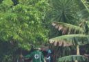 PROTECCIÓN CIVIL CONFIRMA 65 INCIDENTES POR LLUVIAS EN EL PAÍS