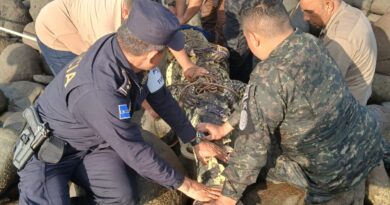 CAPTURAN COCODRILO EN PLAYA EL ZONTE Y ES TRASLADADO A UN ÁREA PROTEGIDA