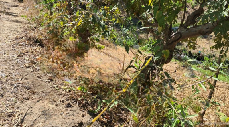 MUERE NIÑO DE UN AÑO TRAS CAER ACCIDENTALMENTE EN CANALETA EN ACAJUTLA,SONSONATE