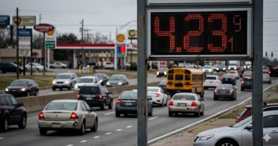 PRECIO DE LA GASOLINA ALCANZA RÉCORD HISTÓRICO EN ESTADOS UNIDOS; $4.23 POR GALÓN