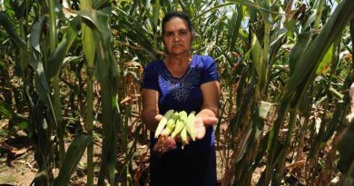 EL FENOMENO DEL NIÑO PROVOCARÁ MENOS LLUVIAS Y RETRASO DEL INVIERNO EN EL SALVADOR, ADVIERTE PROTECCIÓN CIVIL