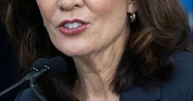 PROPUESTA DE GOBERNADORA DE NUEVA YORK SOBRE COLABORACIÓN CON ICE GENERA CRÍTICAS