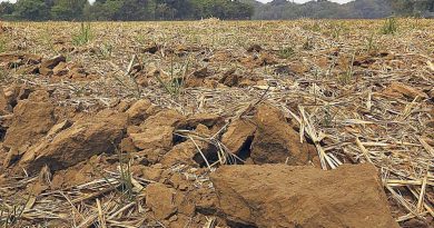 EL FENÓMENO DE EL NIÑO IMPACTARÁ A EL SALVADOR CON MENOS LLUVIAS Y MÁS CALOR