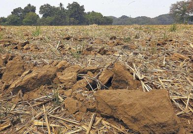 EL FENÓMENO DE EL NIÑO IMPACTARÁ A EL SALVADOR CON MENOS LLUVIAS Y MÁS CALOR