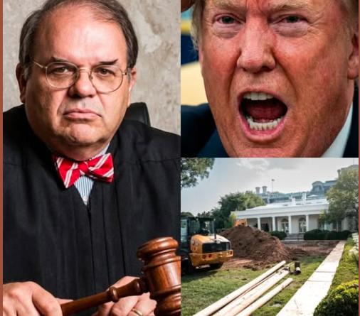 JUEZ FEDERAL FRENA PROYECTO DE TRUMP PARA CONSTRUIR SALÓN EN LA CASA BLANCA