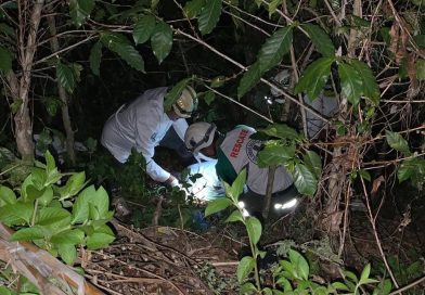 ENCONTRARON A HOMBRE SIN VIDA EN UNOS CAFETALES EN EL CONGO, SANTA ANA