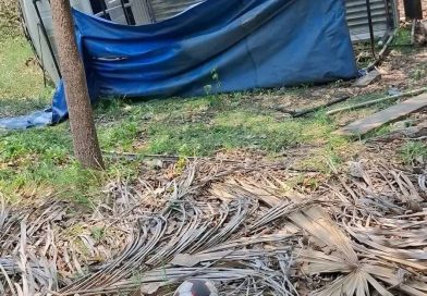VOLCAMIENTO DE PICK UP DEJA VARIOS LESIONADOS EN SANTIAGO NONUALCO EN LA PAZ