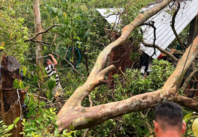 ÁRBOL COLAPSA SOBRE VIVIENDA EN TACUBA, AHUACHAPÁN
