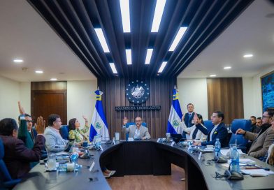 COMISIÓN POLÍTICA ESTUDIA REFORMAS ELECTORALES Y CAMBIOS RELACIONADOS CON LA DIÁSPORA SALVADOREÑA