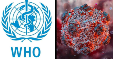 QUÉ ES EL HANTAVIRUS, CUÁLES SON SUS SÍNTOMAS Y QUÉ CONSECUENCIAS PUEDE PROVOCAR