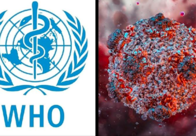 QUÉ ES EL HANTAVIRUS, CUÁLES SON SUS SÍNTOMAS Y QUÉ CONSECUENCIAS PUEDE PROVOCAR