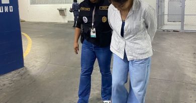 INTERPOL CAPTURA A VICECÓNSUL GUATEMALTECA ACUSADA DE PARRICIDIO