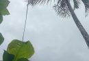 PRONOSTICAN LLUVIAS TIPO TEMPORAL PARA ESTE JUEVES EN GRAN PARTE DE EL SALVADOR