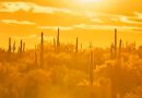 AUTORIDADES EMITEN ALERTA POR INTENSA OLA DE CALOR EN VARIOS ESTADOS DE EE. UU.