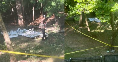 TRES PERSONAS MUEREN TRAS CAÍDA DE AVIONETA CERCA DE WASHINGTON, D.C.