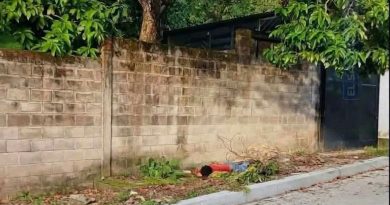 IDENTIFICAN A HOMBRE QUE FALLECIÓ TRAS CAER DE UN ÁRBOL DE AGUACATE EN CHALATENANGO
