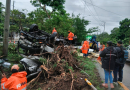 CONTINÚAN TRABAJOS PARA RETIRAR CAMIÓN VOLCADO EN LA AUTOPISTA A COMALAPA
