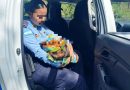 RESCATAN A RECIÉN NACIDA ABANDONADA CERCA DE UNA CARRETERA EN LEMPIRA, HONDURAS