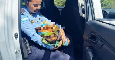 RESCATAN A RECIÉN NACIDA ABANDONADA CERCA DE UNA CARRETERA EN LEMPIRA, HONDURAS