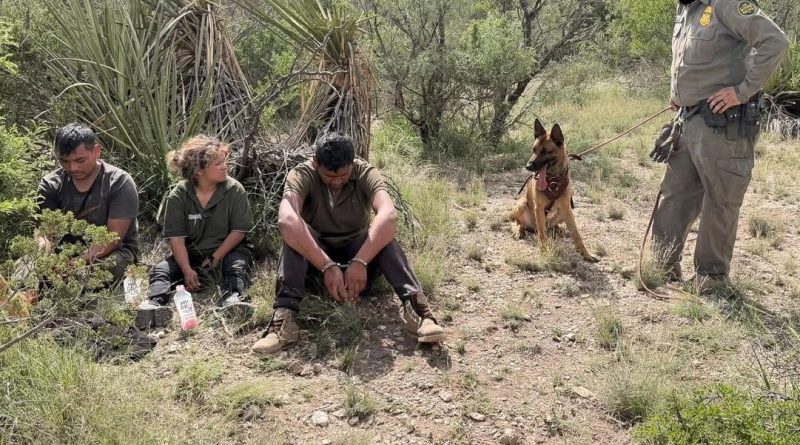 PATRULLA FRONTERIZA DETIENE A CUATRO MIGRANTES INDOCUMENTADOS EN TEXAS; OTROS DOS HUYERON HACIA EL DESIERTO