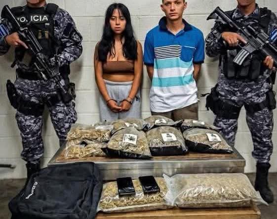 CAPTURARON A DOS PERSONAS QUE TRANSPORTABAN MARIHUANA VALORADA EN CASI $20,000